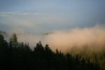 Wolken im Wald am Wechsel